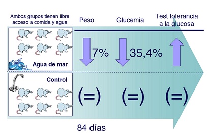 grafico_estudio